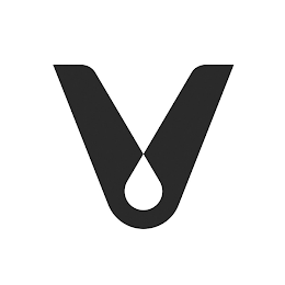 V logo