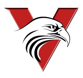 V logo