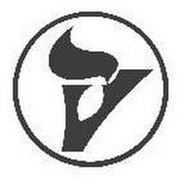 V logo