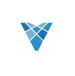 V logo