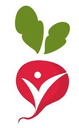 V logo
