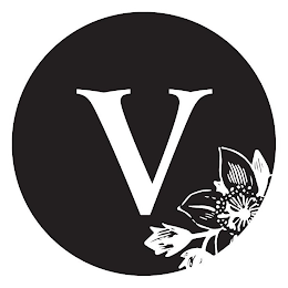 V logo