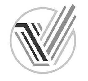 V logo