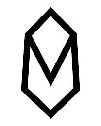 V logo