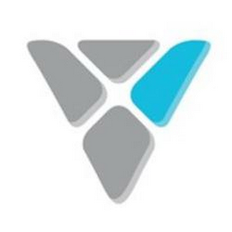 V logo
