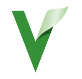 V logo