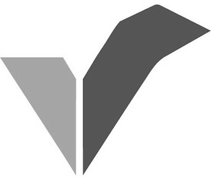 V logo