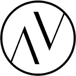 V logo