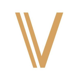 V logo