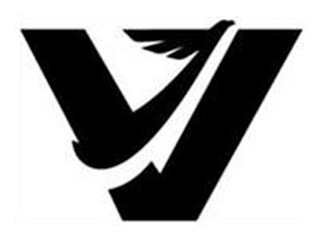 V logo