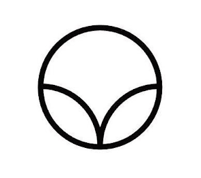 V logo