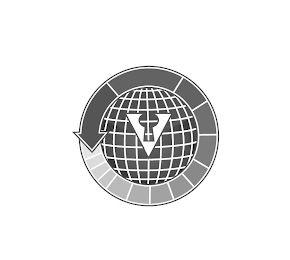 V logo