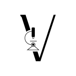 V logo