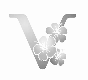 V logo