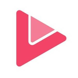 V logo
