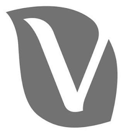 V logo