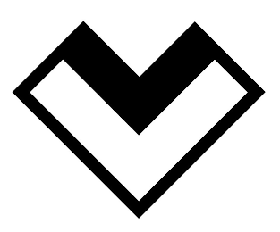 V logo