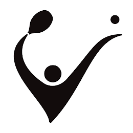 V logo