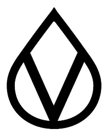V logo