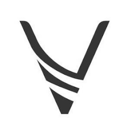 V logo
