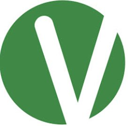V logo