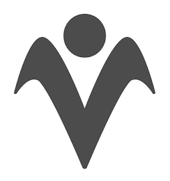 V logo