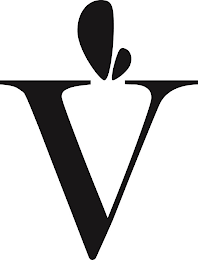 V logo