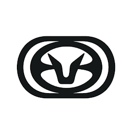 V logo