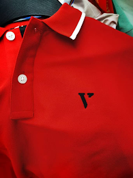 V logo
