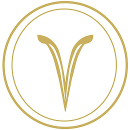 V logo