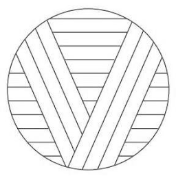V logo