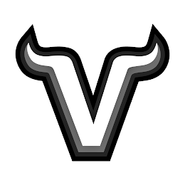 V logo