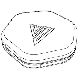 V logo