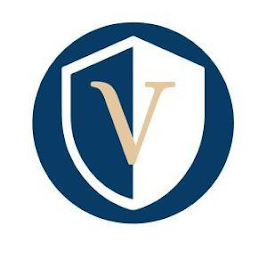 V logo