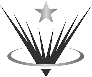 V logo