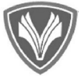 V logo