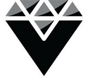 V logo