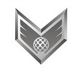 V logo