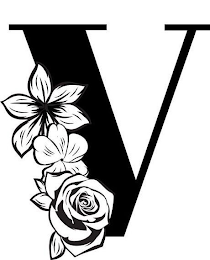 V logo