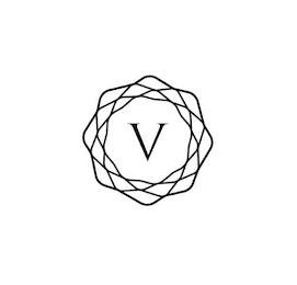 V logo