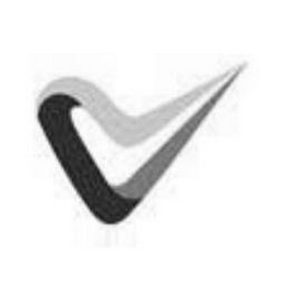 V logo