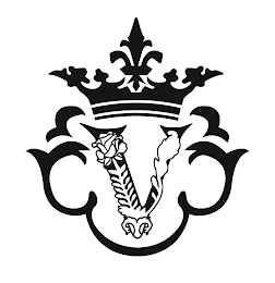 V logo