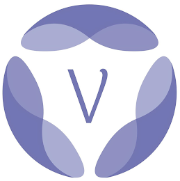V logo