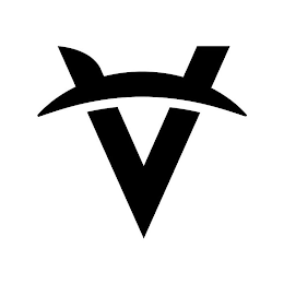 V logo