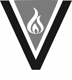 V logo