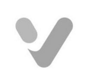 V logo