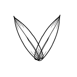 V logo