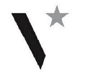 V logo