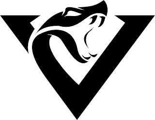 V logo