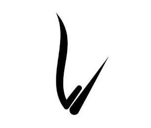 V logo